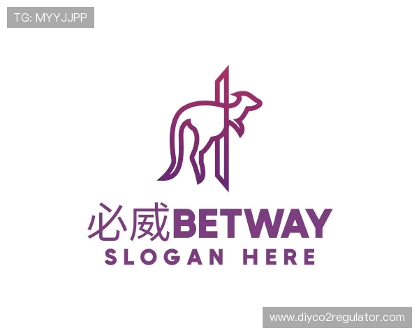 关于必威西汉姆官网